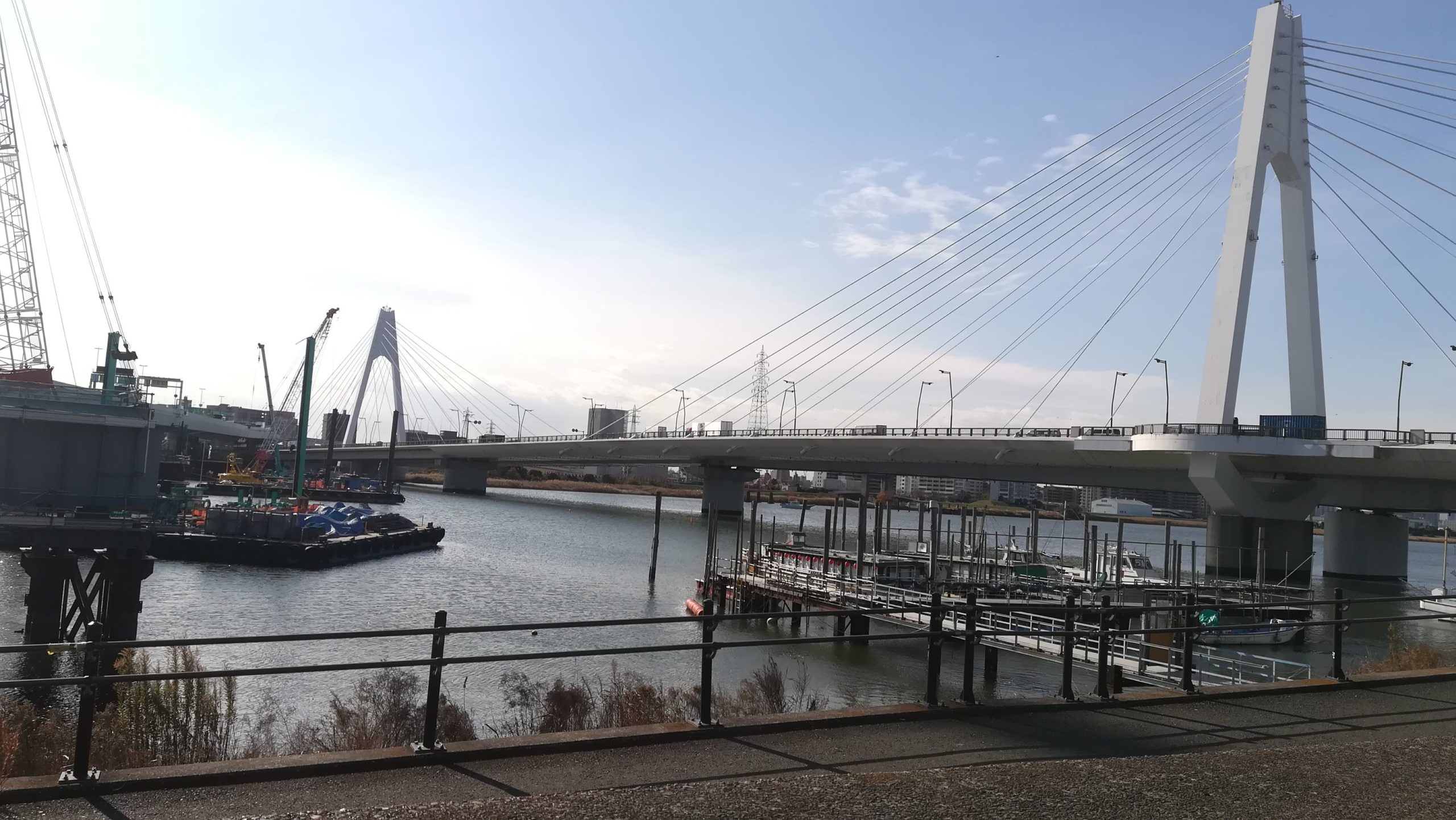 吊り橋の上から　リン　RR Amazon.co.jp: ヴァイス YRC/W116-065 吊り橋の上から リン (RR