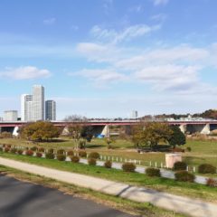 【No.6新多摩川橋】橋情報／多摩サイ／接続道路・路線