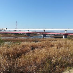 【No.16立日橋】橋情報／多摩サイ／接続道路・路線