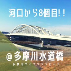 【No.8多摩川水道橋】橋情報／多摩サイ／接続道路・路線