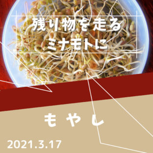 【もやし】残り物がロードバイクにもたらす良い影響