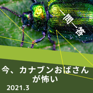 【一問一答】サンバイザーのおばさんがどこ見てるかわかりません。どうすればいいですか?