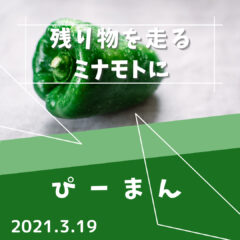 【ピーマン】残り物がロードバイクにもたらす良い影響