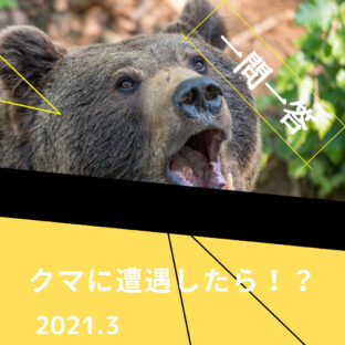 【一問一答】グァオゥ!!サイクリング中にクマと遭遇したらどうしますか?