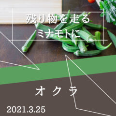 【オクラ】残り物がロードバイクにもたらす良い影響