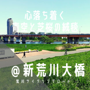【新荒川大橋(しんあらかわおおはし)】桜・芝桜に大きな青空!最高の場所です…/荒サイ/橋情報/グルメ