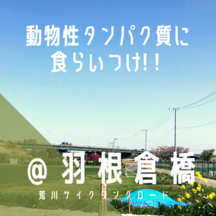 【羽根倉橋(はねくらばし)】富士山がドカンと見える!?/荒サイ/橋情報/グルメ