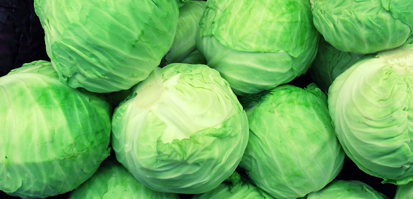 キャベツ