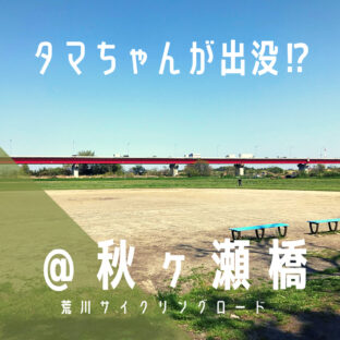 【秋ヶ瀬橋(あきがせばし)】タマちゃんも来ていた!?/荒サイ/橋情報/グルメ