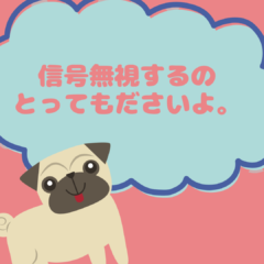 皇居周りを走るロードバイク。信号守りましょ。