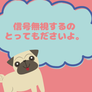 皇居周りを走るロードバイク。信号守りましょ。