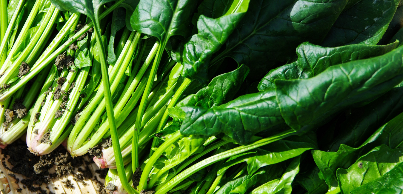 ほうれん草