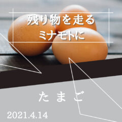 【たまご】残り物がロードバイクにもたらす良い影響