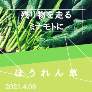 【ほうれん草】残り物がロードバイクにもたらす良い影響