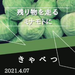 【キャベツ】残り物がロードバイクにもたらす良い影響