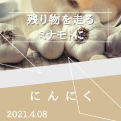 【にんにく】残り物がロードバイクにもたらす良い影響