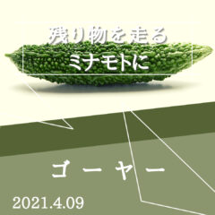 【ゴーヤー】残り物がロードバイクにもたらす良い影響
