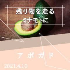 【アボガド】残り物がロードバイクにもたらす良い影響