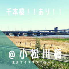 【小松川橋（こまつがわばし）】小松川千本桜！！／荒サイ／橋情報／グルメ