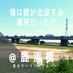 【鹿浜橋（しかはまばし）】環七の要所には獣がいた！？…／荒サイ／橋情報／グルメ