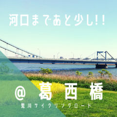【葛西橋（かさいばし）】河口まであと少し！！／荒サイ／橋情報／グルメ