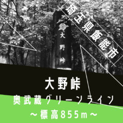 【峠巡り】パラグライダー!|標高855m|大野峠|奥武蔵グリーンライン|埼玉県飯能市|クライミング|峠情報