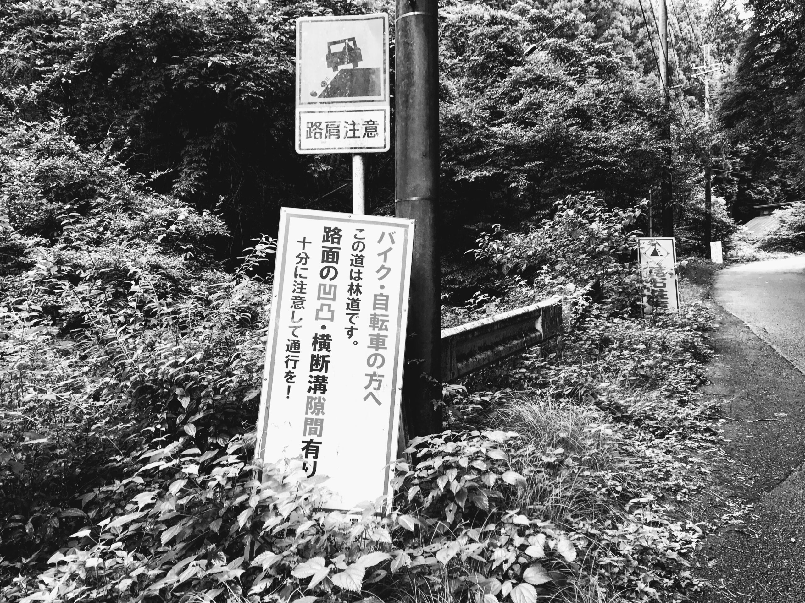 油絵（狩場坂峠） 篠崎輝夫「富士五湖 篭坂峠」油彩 SM 額装 油絵 油画 絵画 A