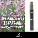 バーベナイメージ